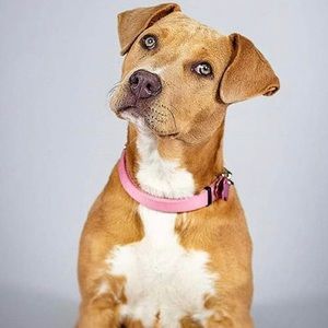 Meet your Posher, Jeremy